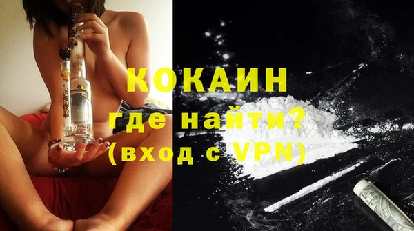 ешки Новозыбков