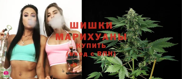 a pvp Белокуриха