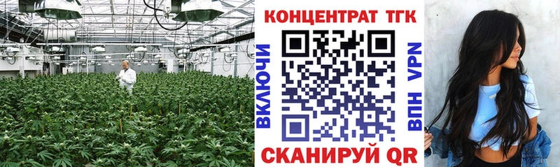 ТГК THC oil  МЕГА вход  Макаров  даркнет сайт 